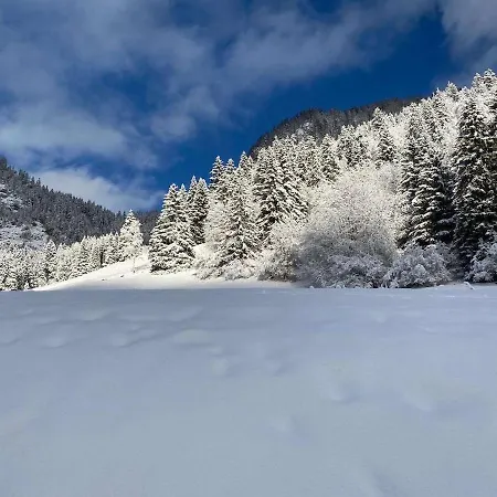 Appartamento For 2 People With Parking Vionnaz