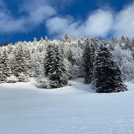 Appartamento For 2 People With Parking Vionnaz