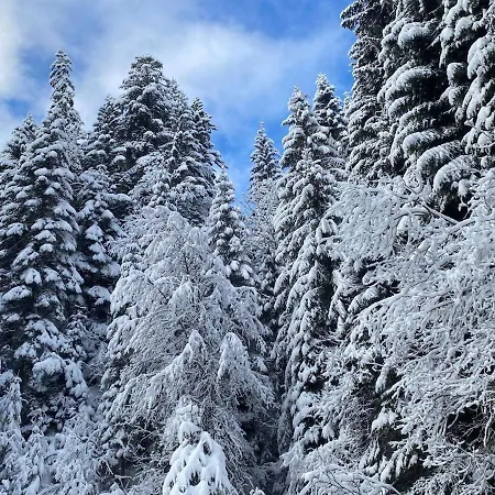 For 2 People With Parking