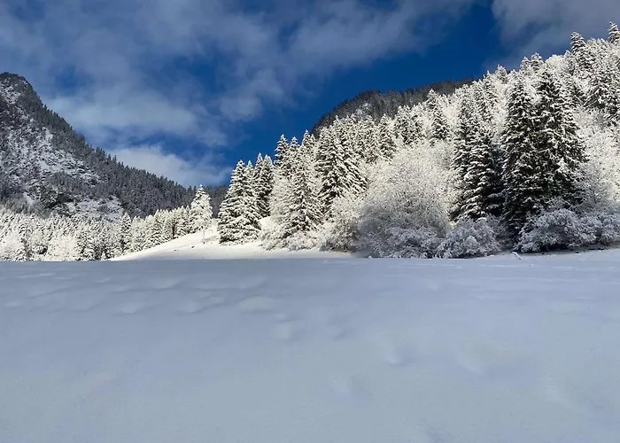 Apartman For 2 People With Parking Vionnaz