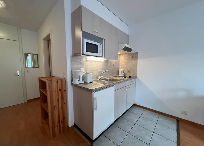 For 2 People With Parking Apartman Vionnaz