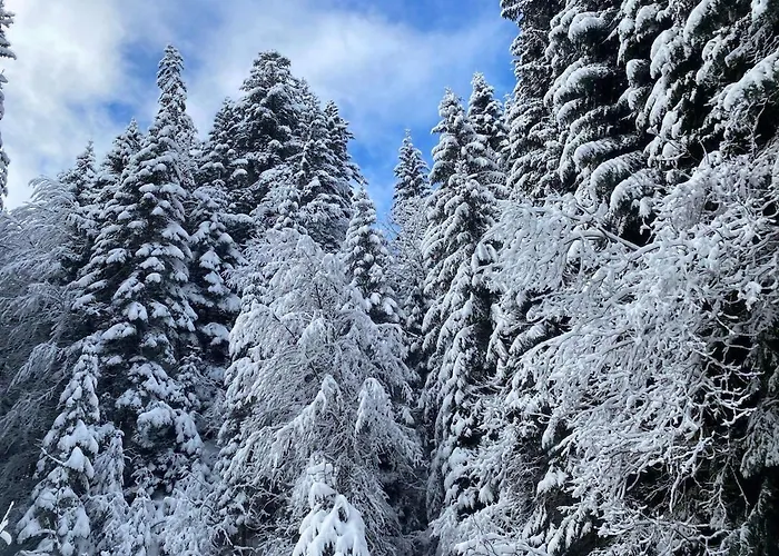 For 2 People With Parking