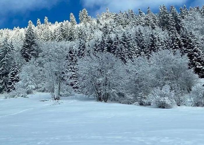 Apartman For 2 People With Parking *